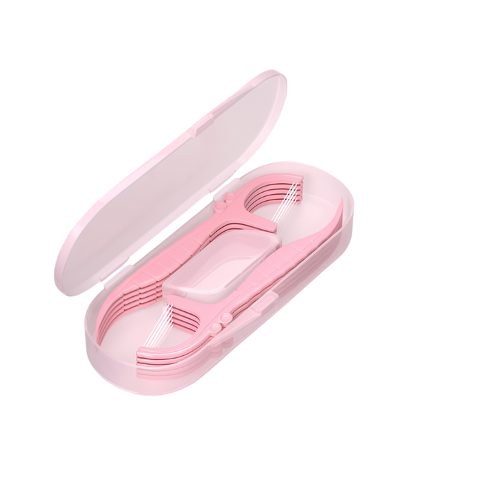 10 Pack Floss Picks with Case